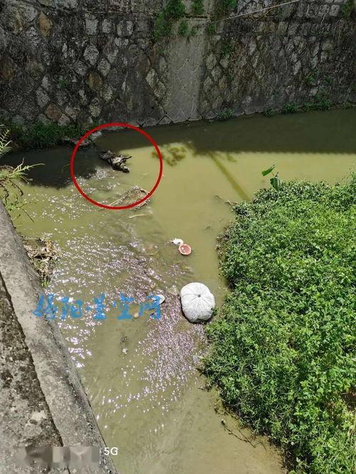 云路村爆料视频,乡村发展新动向  第2张