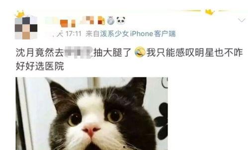 博主皮肤爆料怎么做的视频,轻松打造吸睛内容  第3张